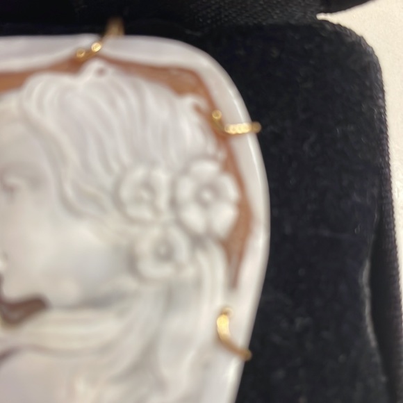 Gorgeous cameo pin/pendant - Picture 3 of 7